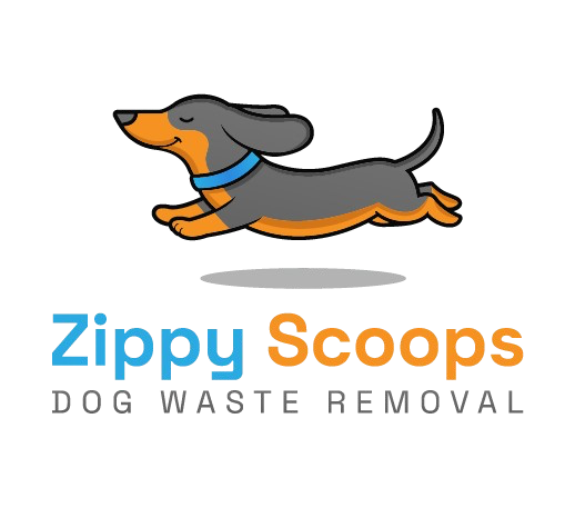 Zippy Scoops
